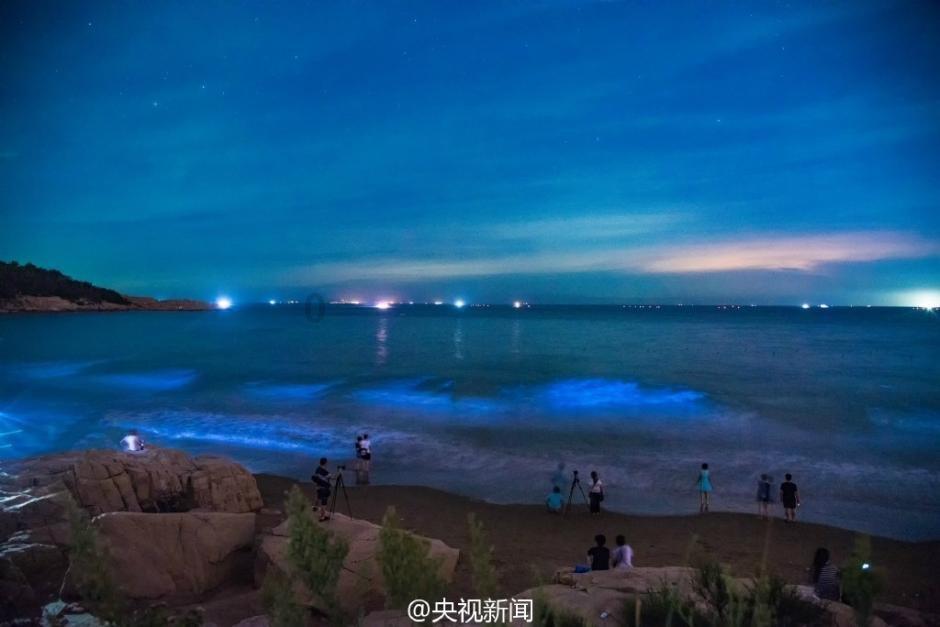 中卫这一摊位的馅饼味道不错，值得推荐！
