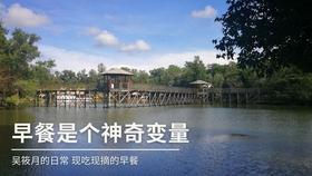 五彩鹦鹉救援