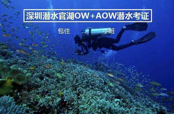 【阳光•提醒】宁夏降雪仍在持续！道路结冰黄色预警，部分道路临时管制！最新路况……